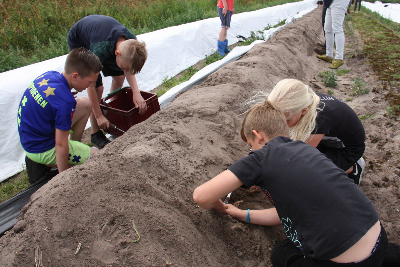 Excursie met je eigen groep