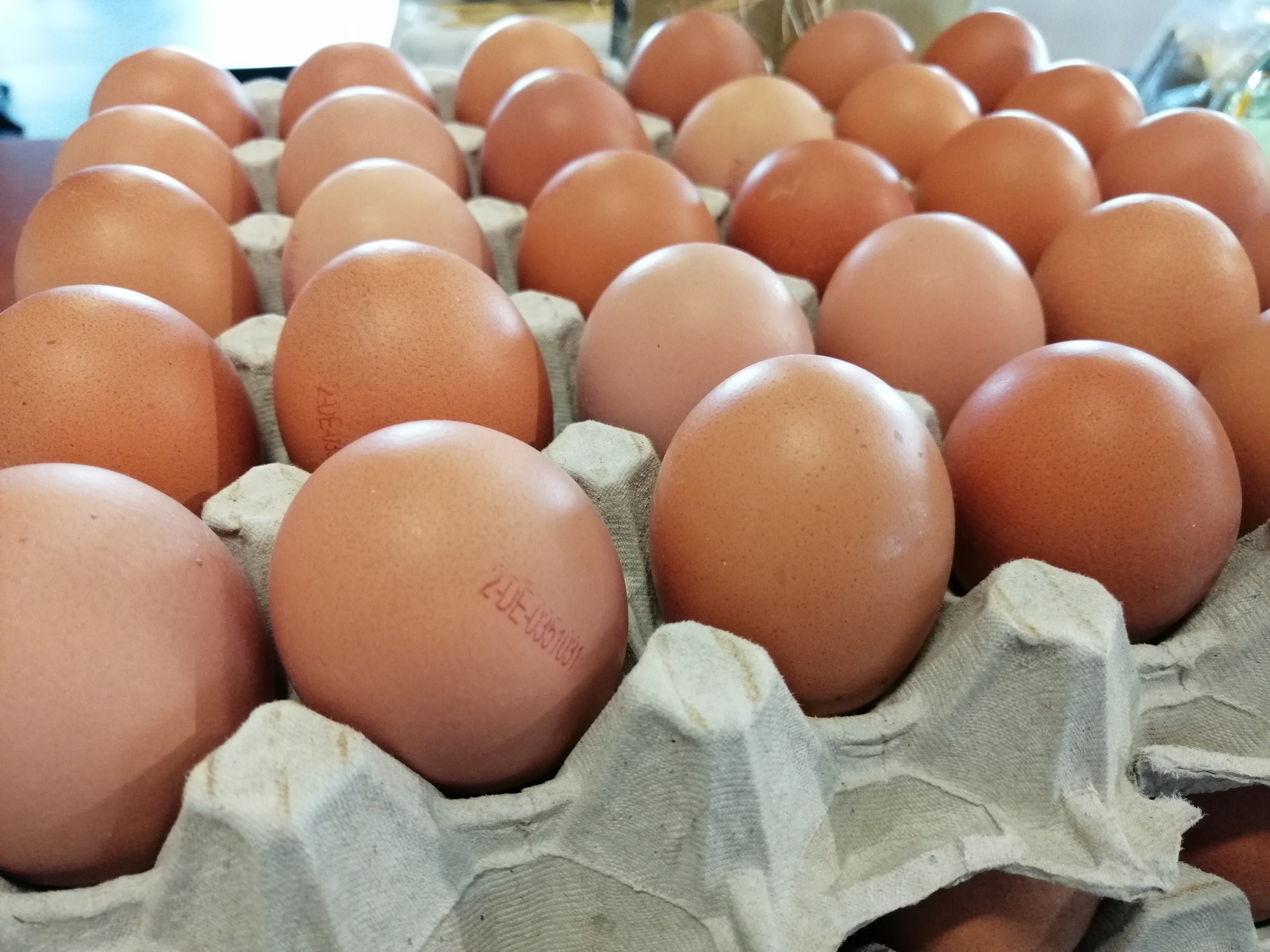 Eieren 10 stuks